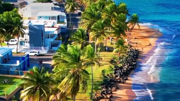 A coastal area with a sandy beach, palm trees, and a clear blue ocean. - Beachside With Private Jacuzzy, Full A/c, Totally Renovated, Brand new (Luquillo)