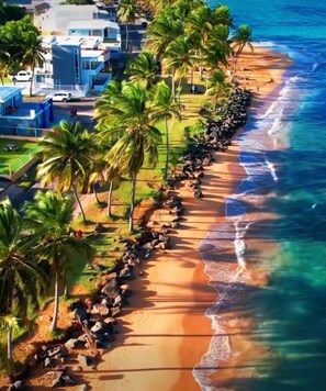 A coastal area with a sandy beach, palm trees, and a clear blue ocean.