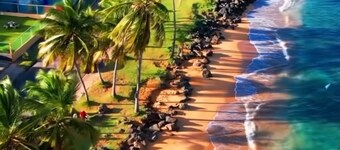 Beachside With Private Jacuzzy, Full A/c, Totally Renovated, Brand new