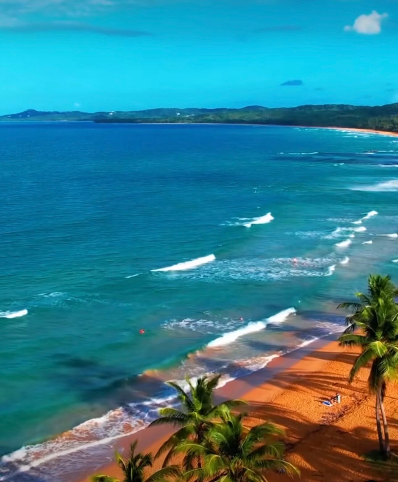 Una playa con agua azul cristalina, olas y palmeras.