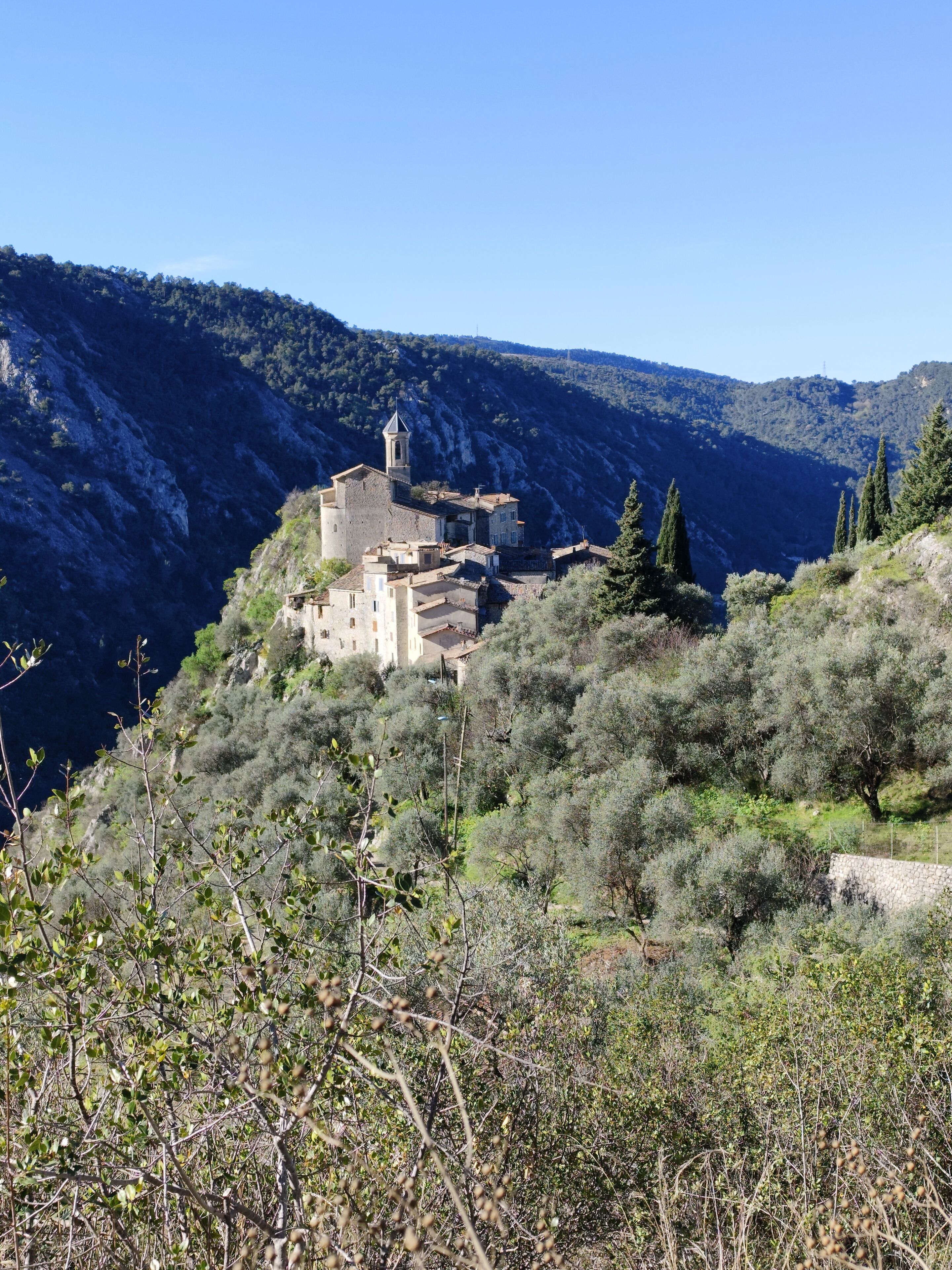 A historic stone building with a bell tower, surrounded by olive trees and hills.