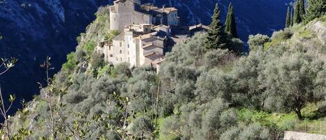 A historic stone building with a bell tower, surrounded by olive trees and hills.