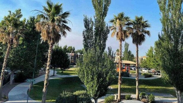 Ein gepflegter Park mit Palmen, einer Laube und blauem Himmel.