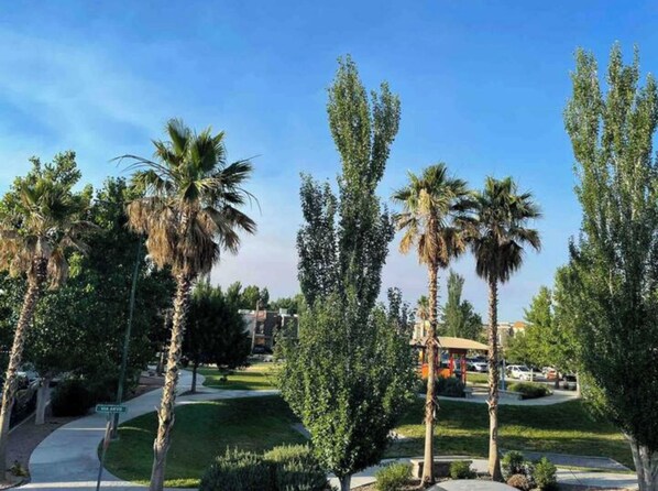 Ein gepflegter Park mit Palmen, einer Laube und blauem Himmel.