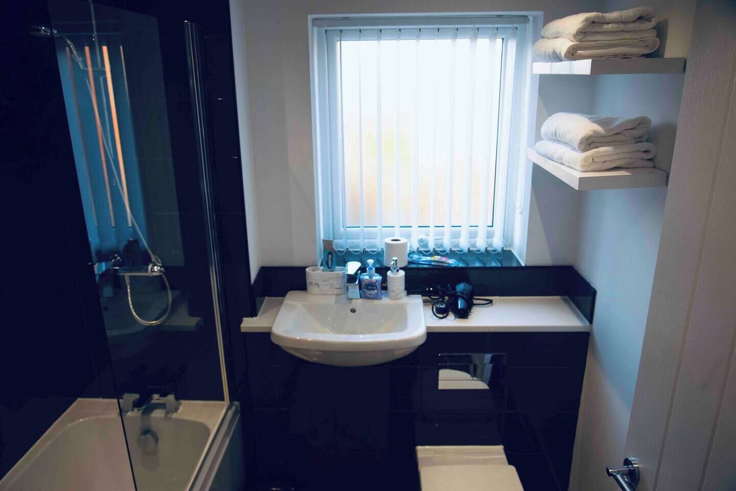 Hair dryer, towels, soap, toilet paper