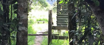 Experience to live in the heart of Nature at Camona Ecolodge