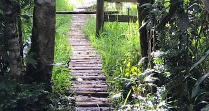 Experience to live in the heart of Nature at Camona Ecolodge