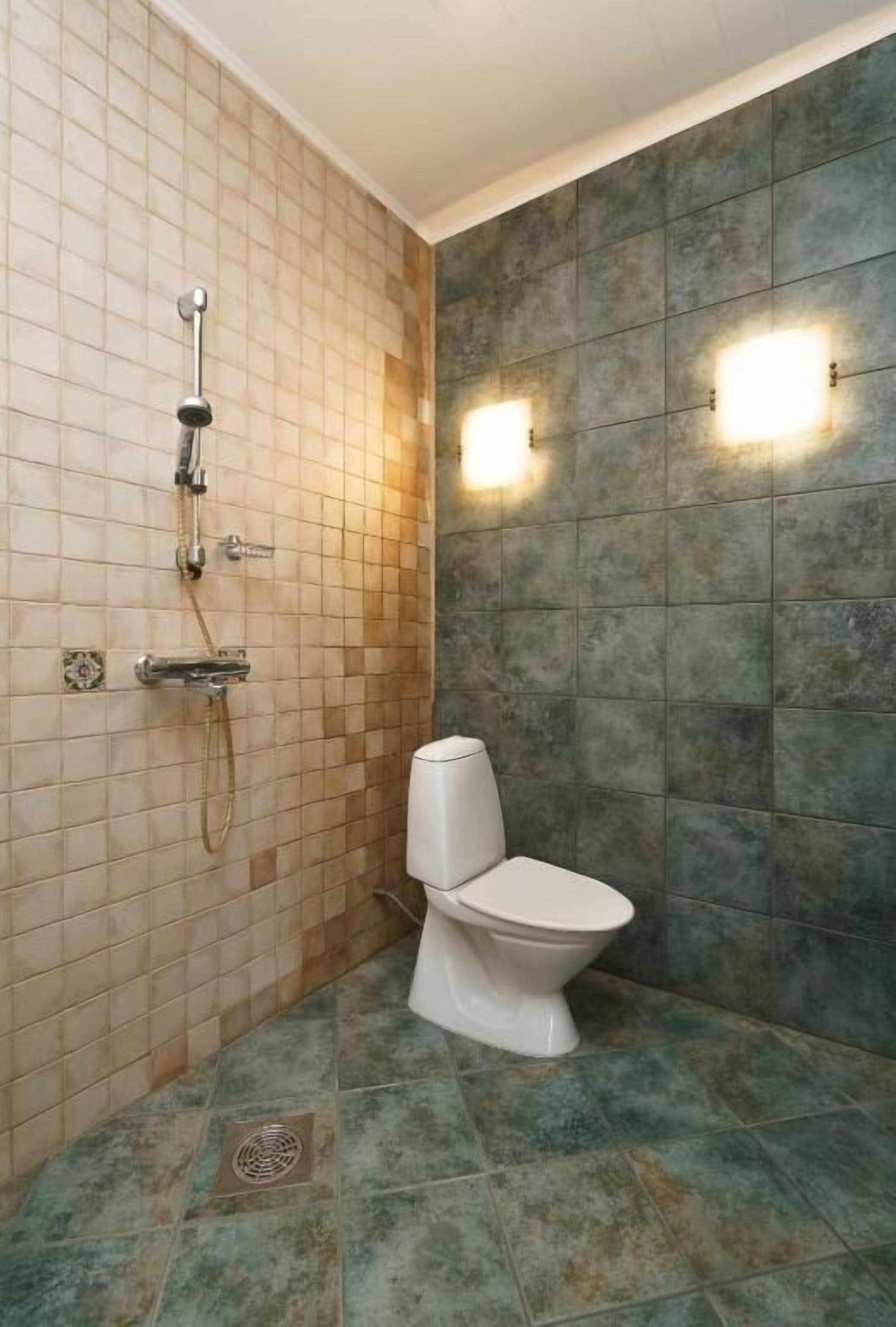 Regadera, amenidades de baño gratuitas, secadora de cabello, toallas 