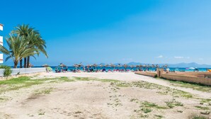A beach with palm trees, beach chairs, and umbrellas.