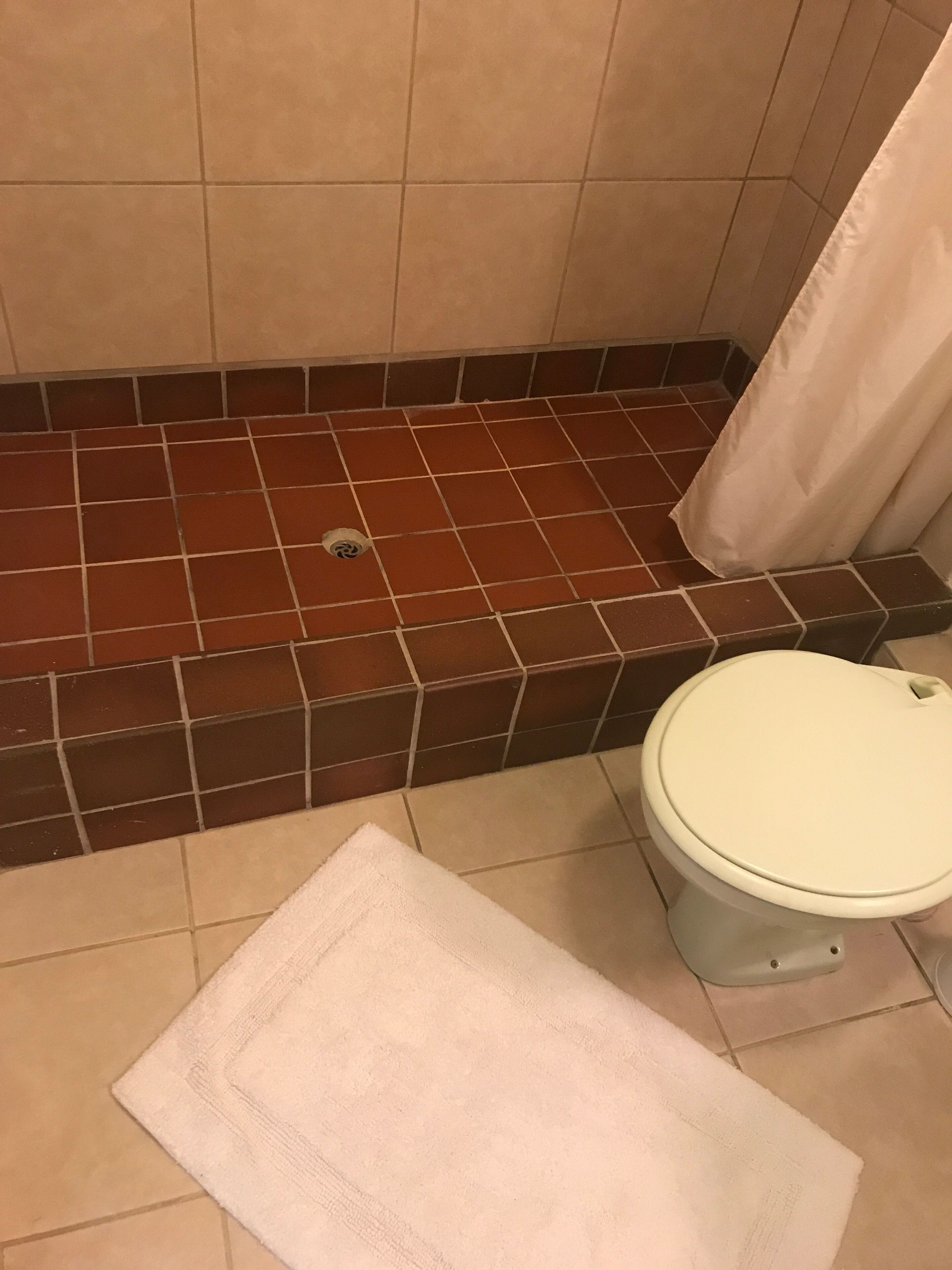 A bathroom with a toilet, a shower curtain, and a tiled floor.