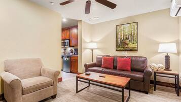 智能电视、壁炉、电子游戏、DVD 播放器