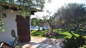 Ein Garten mit Schwimmbecken, einem Kaktus und einer Holztür.