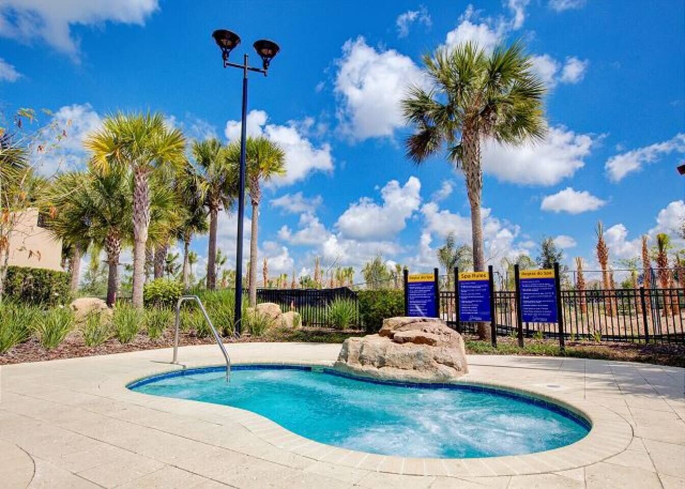 A swimming pool with a metal ladder, surrounded by palm trees and a clear blue sky.