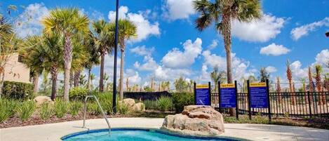 A swimming pool with a metal ladder, surrounded by palm trees and a clear blue sky.