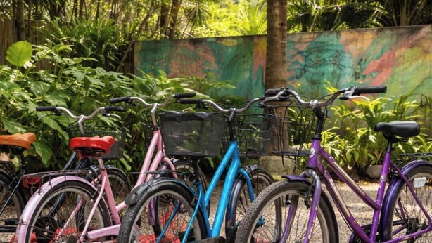 Une rangée de vélos est stationnée sur une surface de gravier, avec une fresque colorée en arrière-plan.