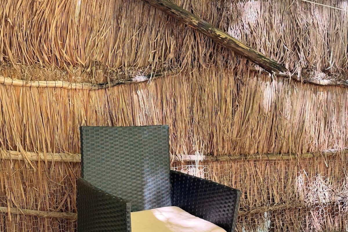 Relax in a casual outdoor seating area with cushioned chairs and a glass-topped table.