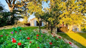 A garden with a variety of flowers and a tree in the foreground. - Le Grand Chene - Five Bedroom Villa, Sleeps 10 (Touffailles)