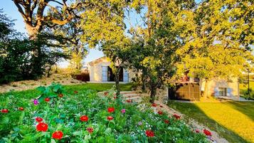 Jardines del alojamiento