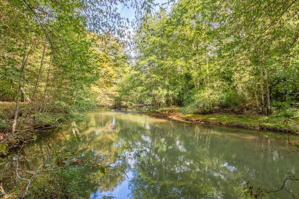 Ein ruhiger Fluss, umgeben von dichtem Wald.