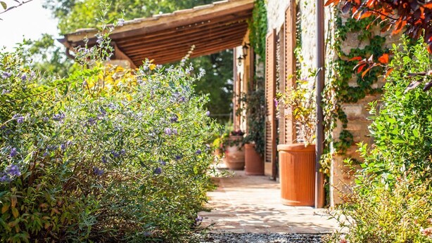 A pathway leading to a building with a wooden pergola, surrounded by lush greenery and flowering plants. - Villa Condotti - Five Bedroom Villa, Sleeps 12 (Montone)