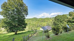 A rural landscape with a large tree, a fenced path, and solar panels.