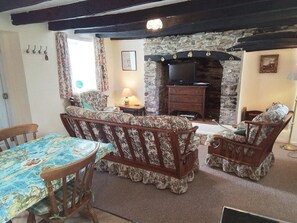 TV - Dairy Cottage, Newcastle Emlyn (Newcastle Emlyn)