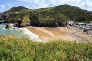 Beach - Holly Cottage, Newcastle Emlyn (Newcastle Emlyn)