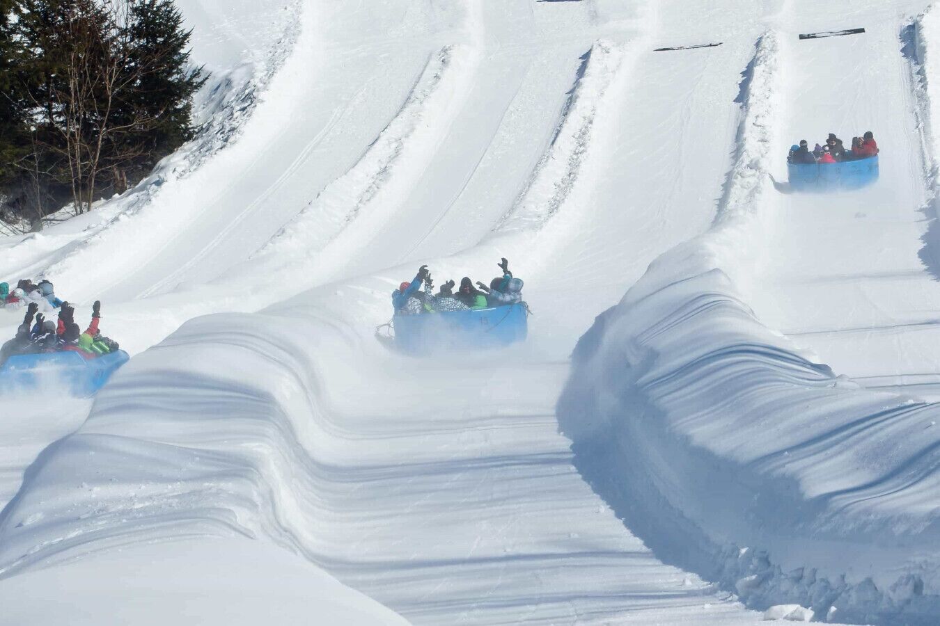 Snø- og skisport
