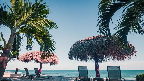 A beach with lounge chairs and thatched umbrellas. - Conch – Oceanfront Ground-Floor Studios – Panama (San Carlos)