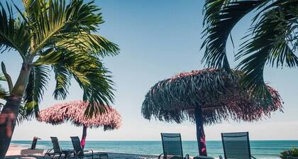 Conch – Oceanfront Ground-Floor Studios – Panama