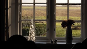Une fenêtre donnant sur un champ, et un vase rempli de fleurs posé sur le rebord de la fenêtre.