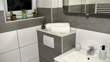 Ducha, secador de pelo, toallas y papel higiénico