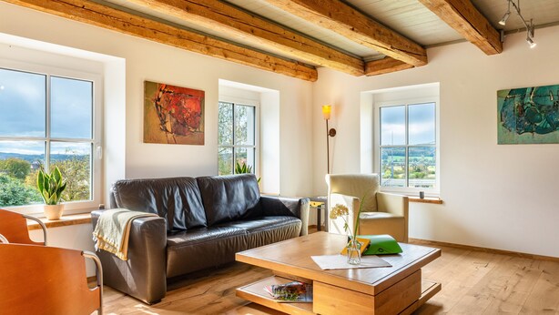 A modern living room with a leather sofa, a wooden coffee table, and a view through large windows. - Apartment 'Gästehaus Wüpping 3' with Mountain View, Private Terrace and Wi-Fi (Salem)