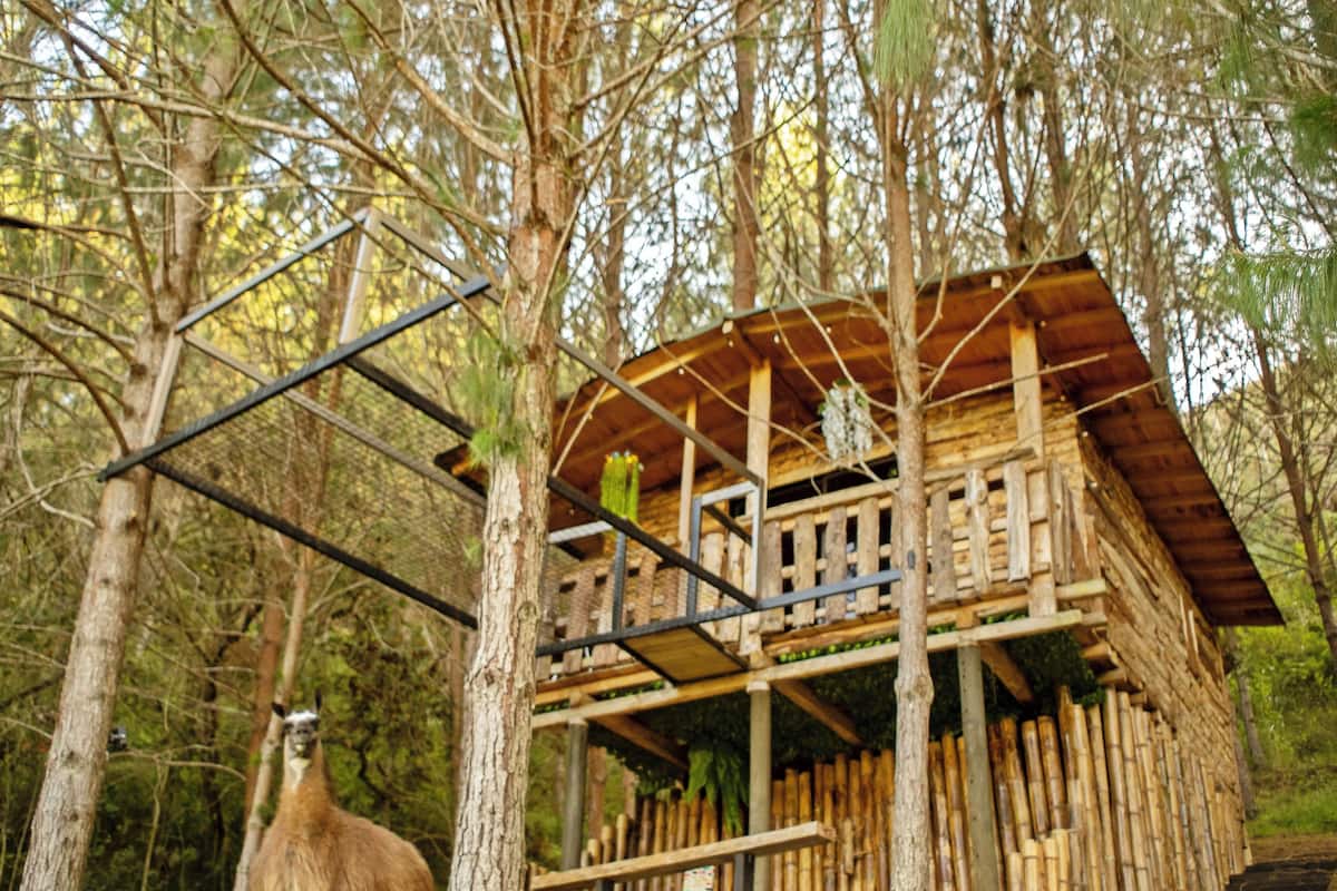 Casa de árbol superior | Camas con pillow-top y wifi gratis