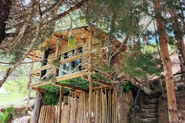 Casa de árbol | Terraza o patio