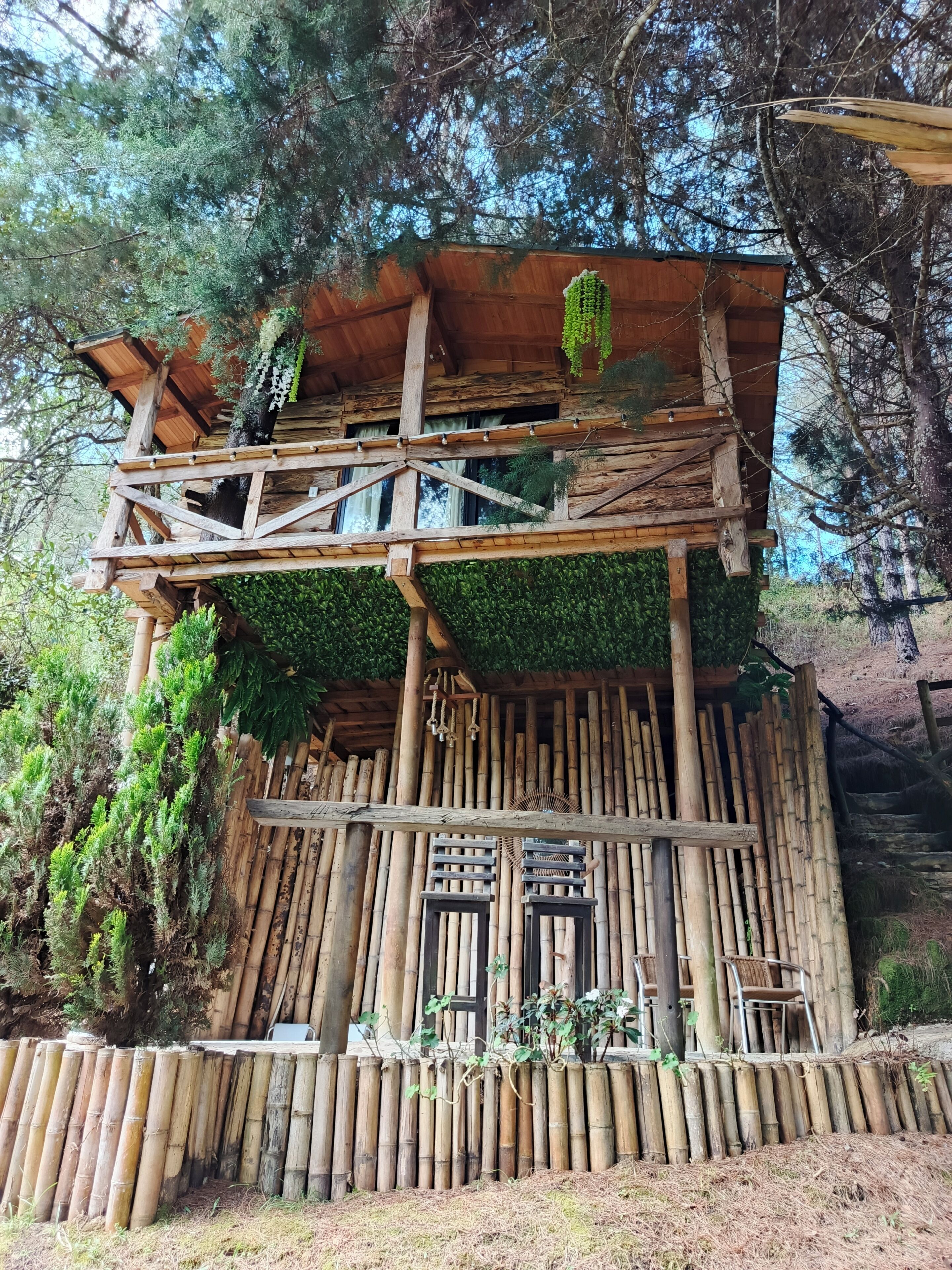 Tree House, Jetted Tub, Valley View | Premium bedding, down duvets, pillow-top beds, minibar