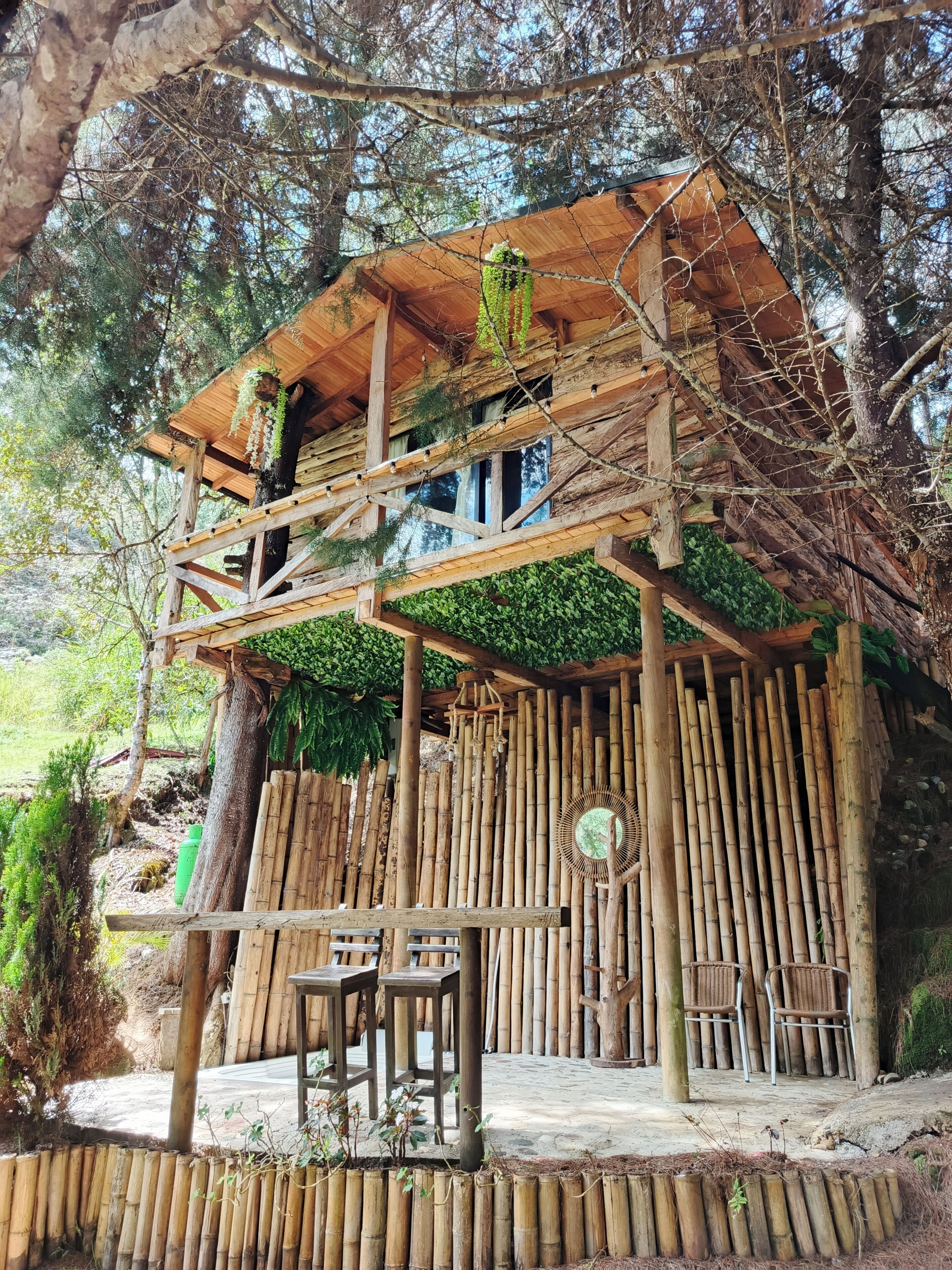 Honeymoon Tree House | Terrace/patio