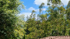 A traditional building with a tiled roof, surrounded by lush greenery and a small pond with a waterfall. - Refugio Natural - Guarne - Cabañas Ecológicas con Jacuzzi e hidromasaje (Guarne)