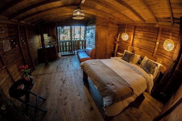 Superior Tree House | Pillow-top beds, free WiFi