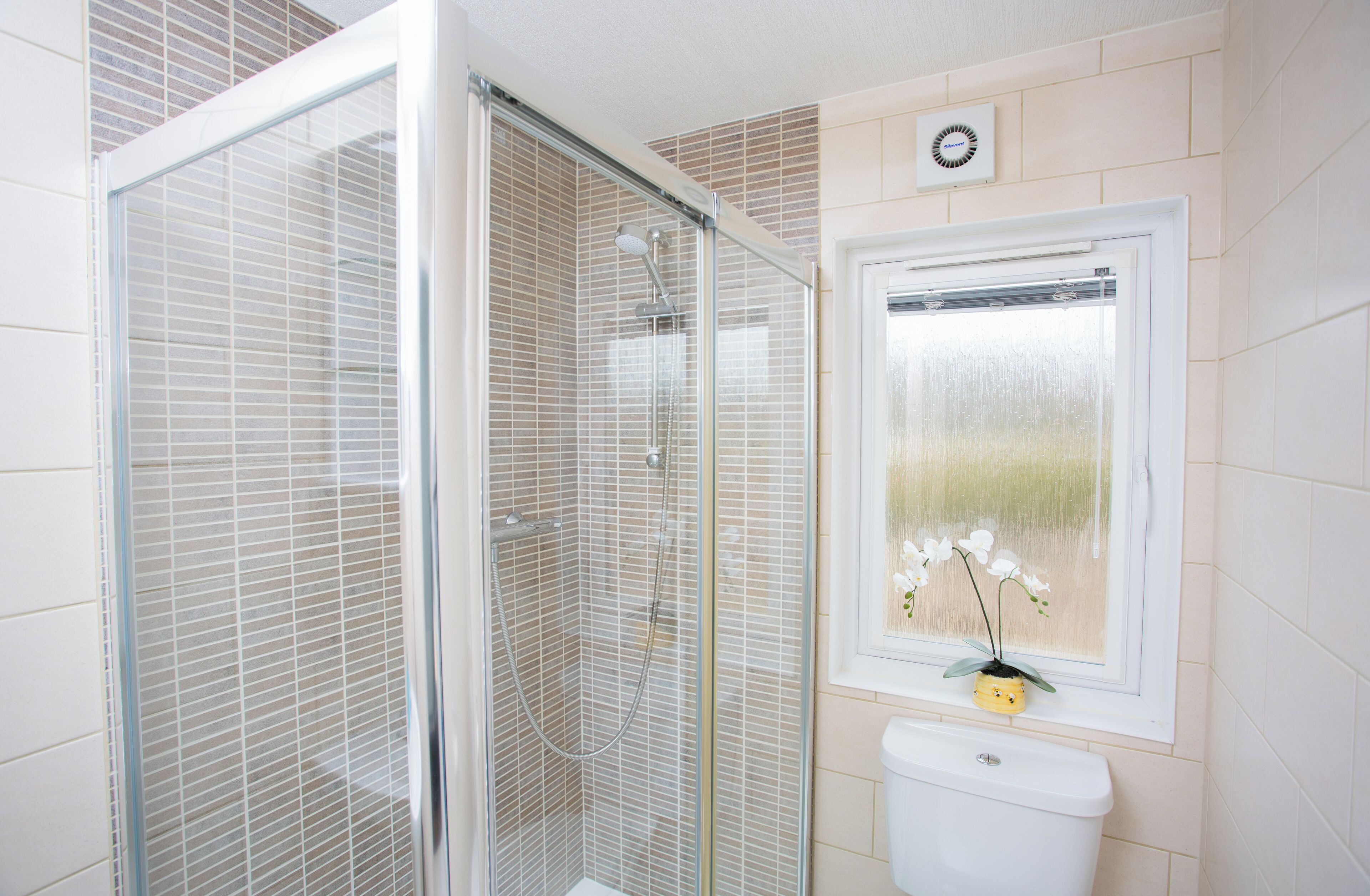 A bathroom with a glass shower enclosure, a toilet, and a window with a plant.