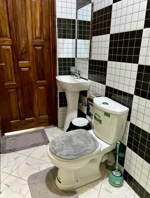 Ein Badezimmer mit Holztür, Waschbecken in Weiß, Toilette mit grauem Sitz und einem grünen Sauger.