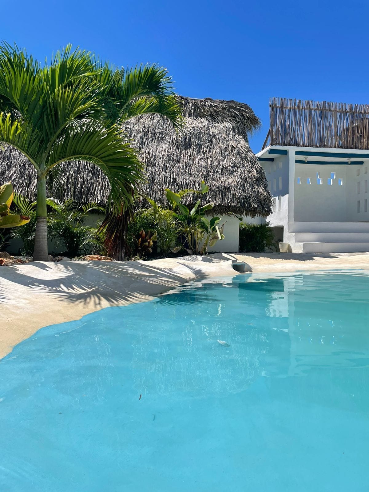 Un'area della piscina con una struttura a tetto di paglia, palme e una spiaggia sabbiosa.