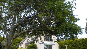 Une maison à deux étages avec une grande pelouse devant, un garage et une allée.