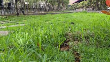 A grassy area with a pathway and trees.