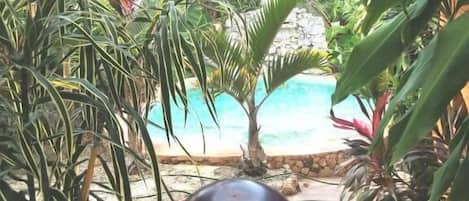 Utomhuspool och solstolar