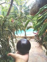 室外泳池；躺椅