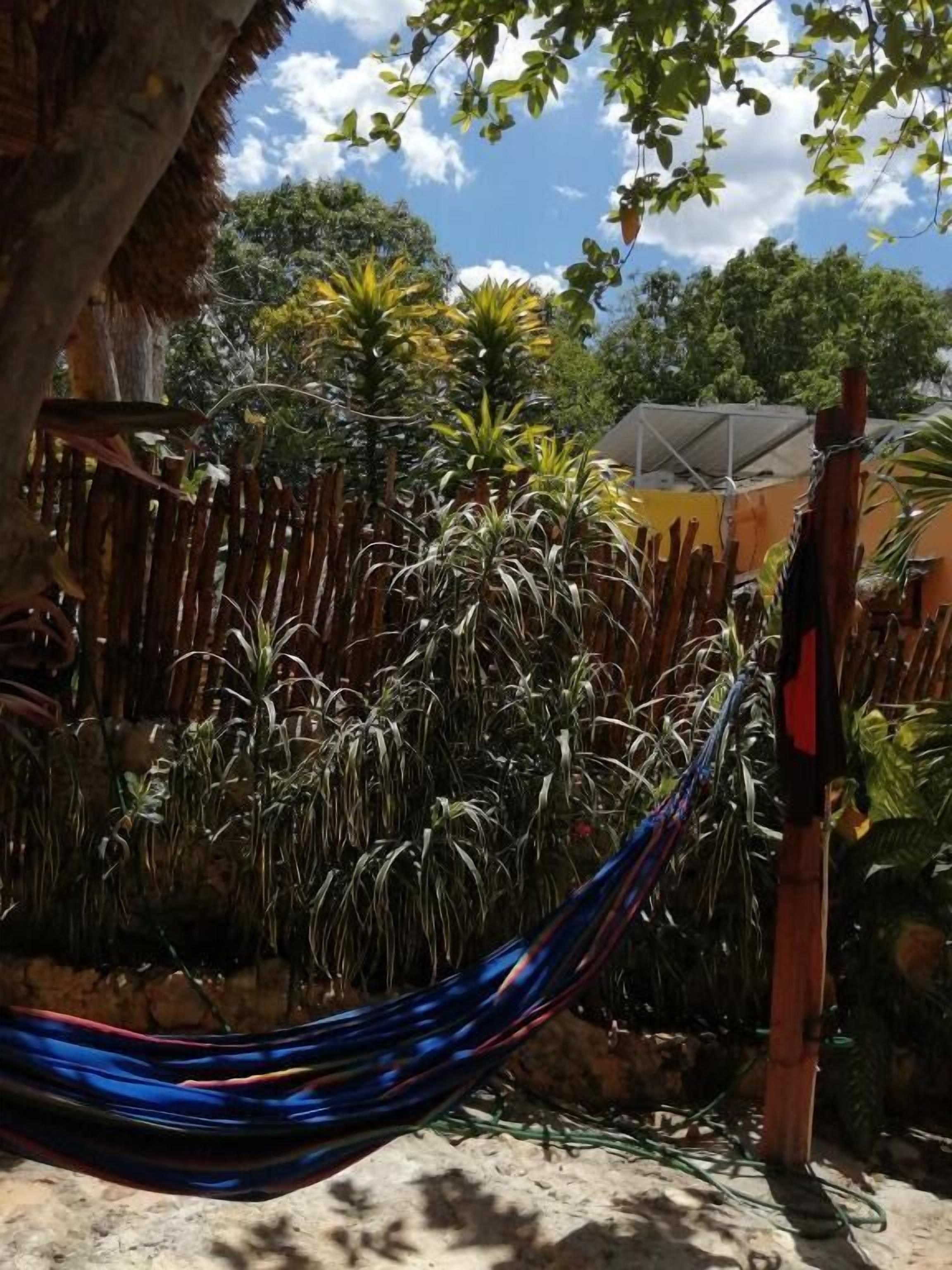 Una hamaca en un jardín con plantas y árboles.