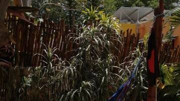 Una hamaca en un jardín con plantas y árboles.