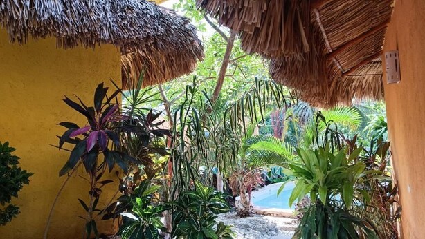 A tropical garden with a thatched-roof structure, lush greenery, and a small pool. - Suites Casa de Piedra y Colores-Sak (Tinum)