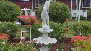 Un jardín con una estatua blanca de un hombre sobre un pedestal, rodeado de diversas plantas y flores.